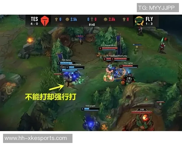 赛后深度分析WE与TES的耐力对决及其战术启示